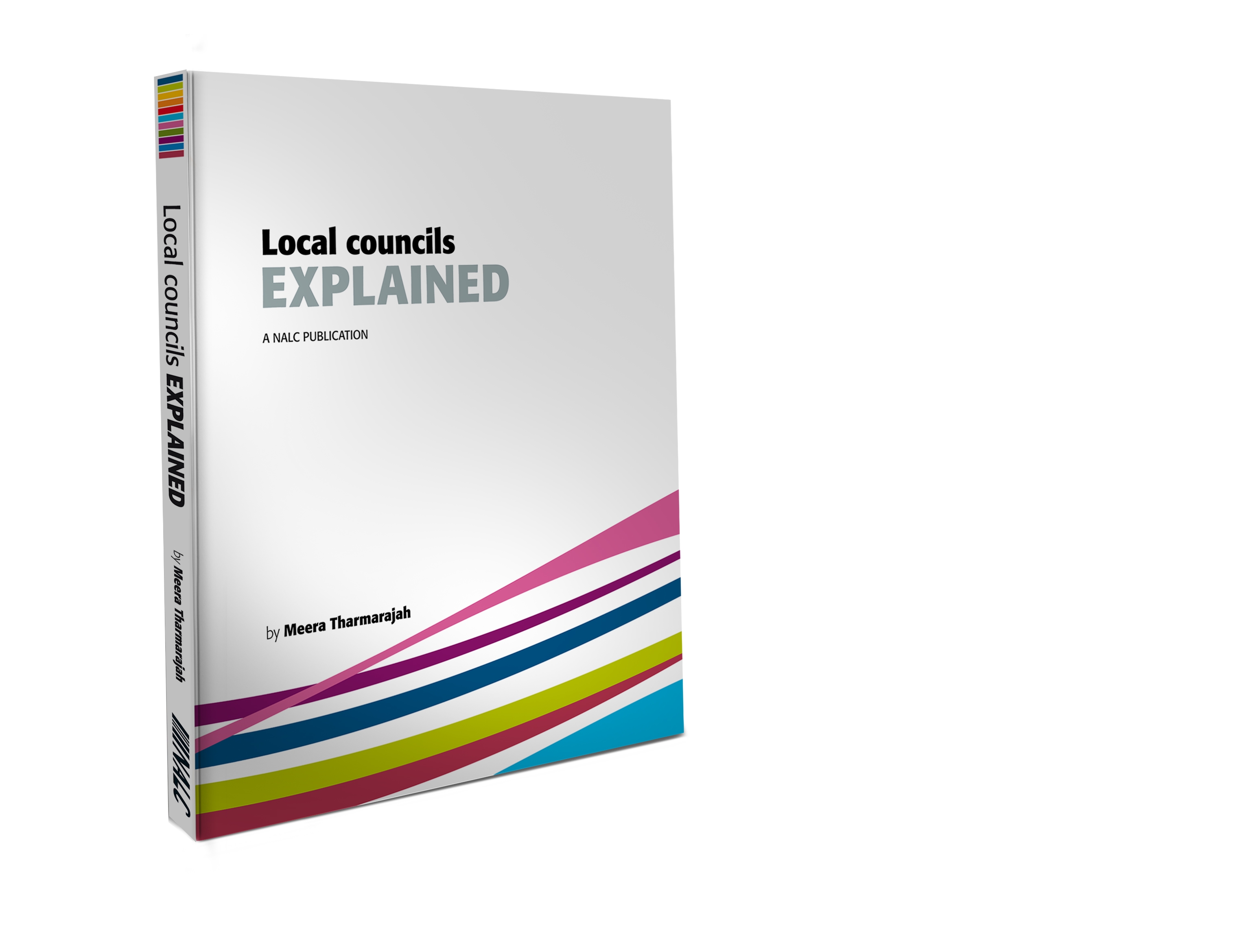 local_council_explained