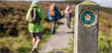 Junior lawyers: Time to look further afield?