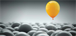 Career hub: Standing out from the crowd